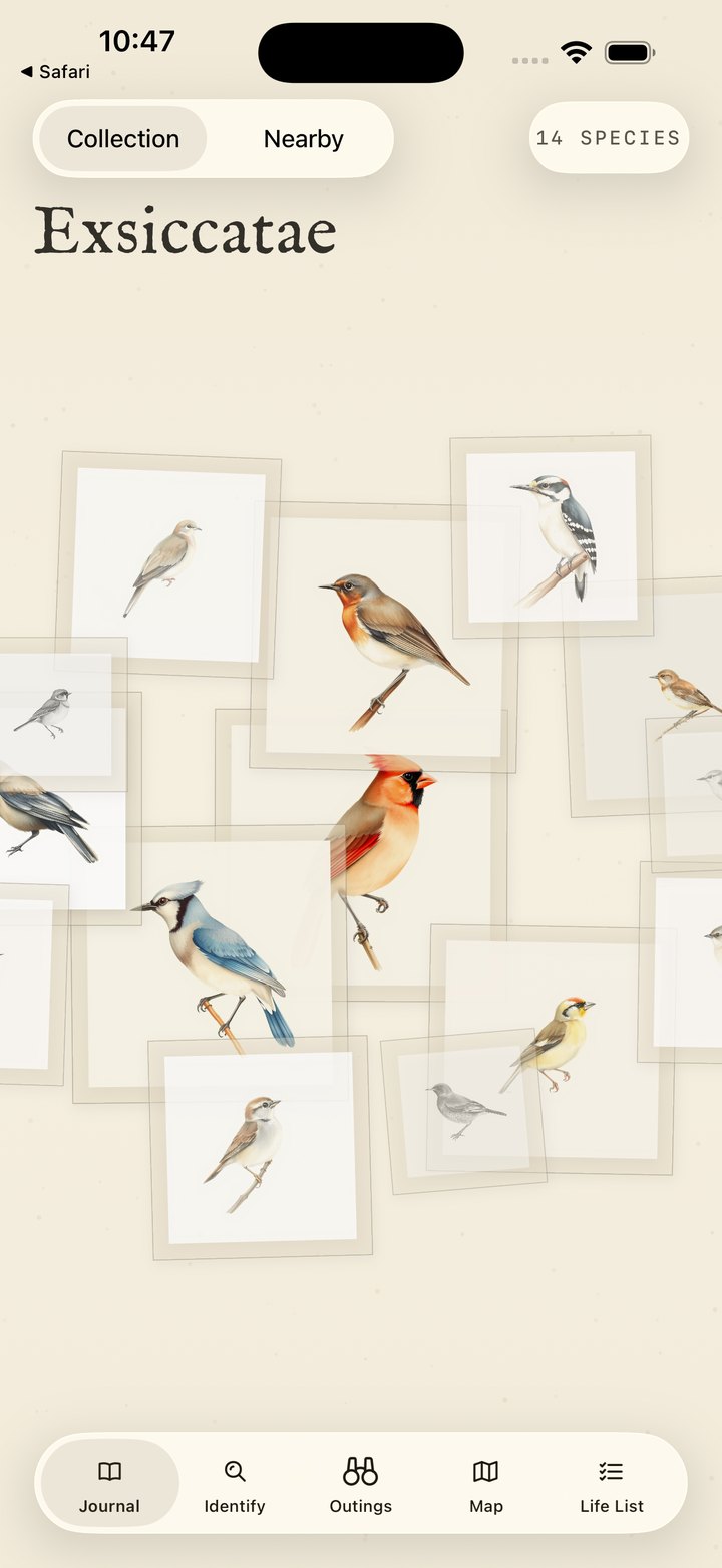 The Exsiccatae journal — a watercolour collage of birds a birder has recorded