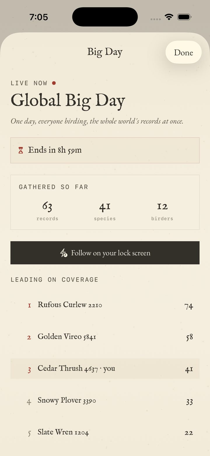 A live Big Day with a countdown and shared scoreboard