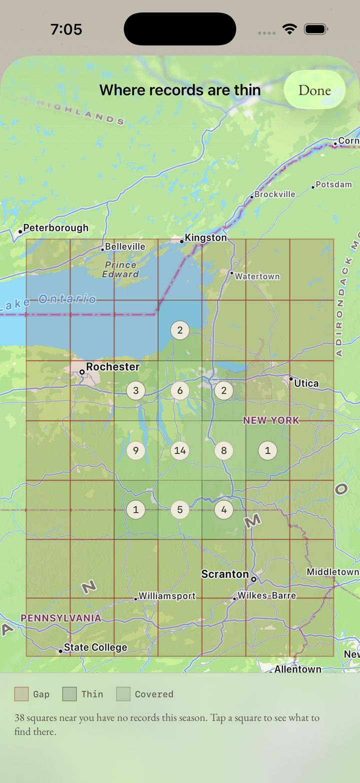 The gap map — coverage near you, thin squares in red