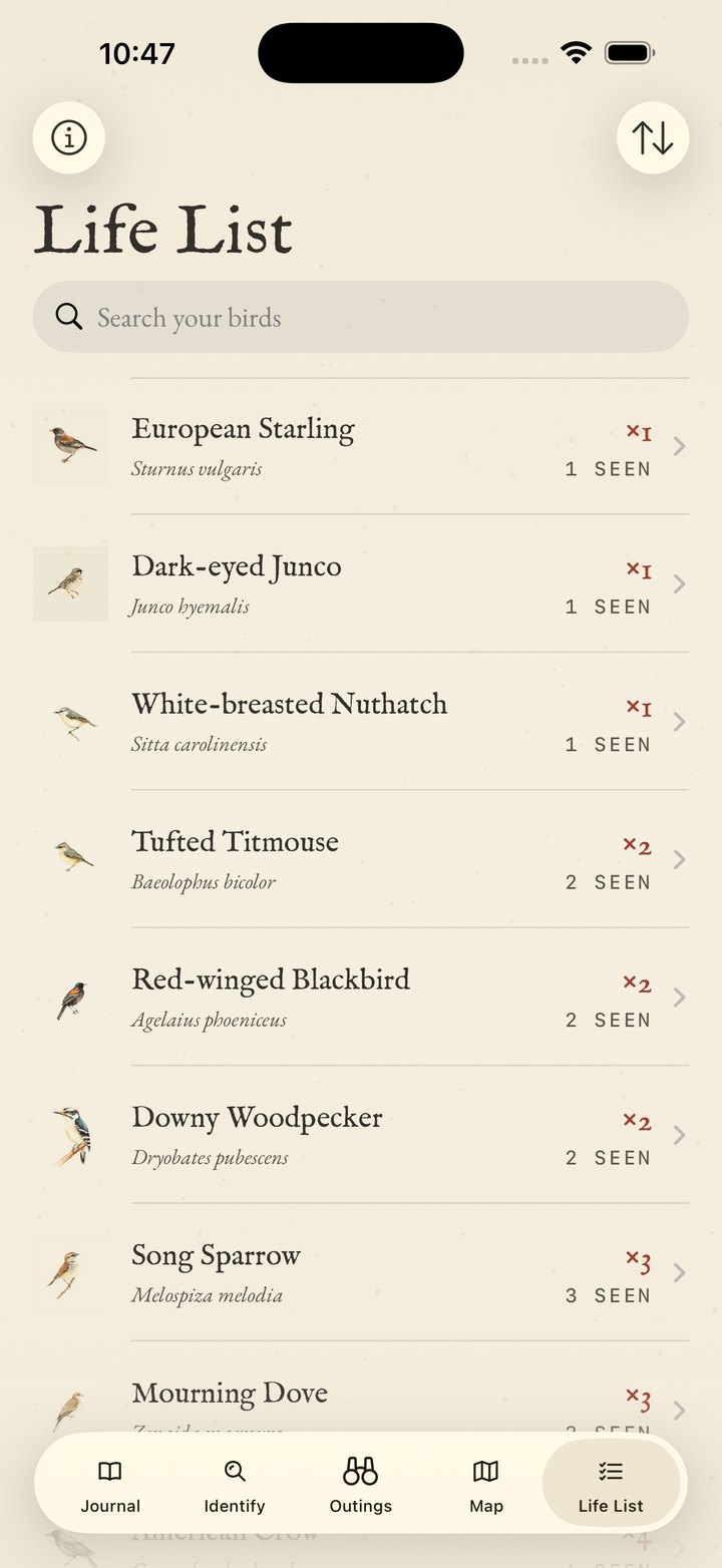 The life list — every species as a specimen row