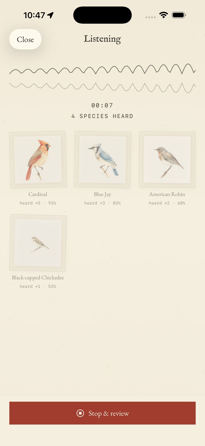 A listening session identifying birdsong, species painting in as they're heard